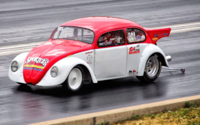 Wheels Wednesday: Shooting Bugs with a Mirrorless Camera
