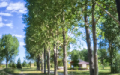 Adventuring with the Skink Pinhole Lens