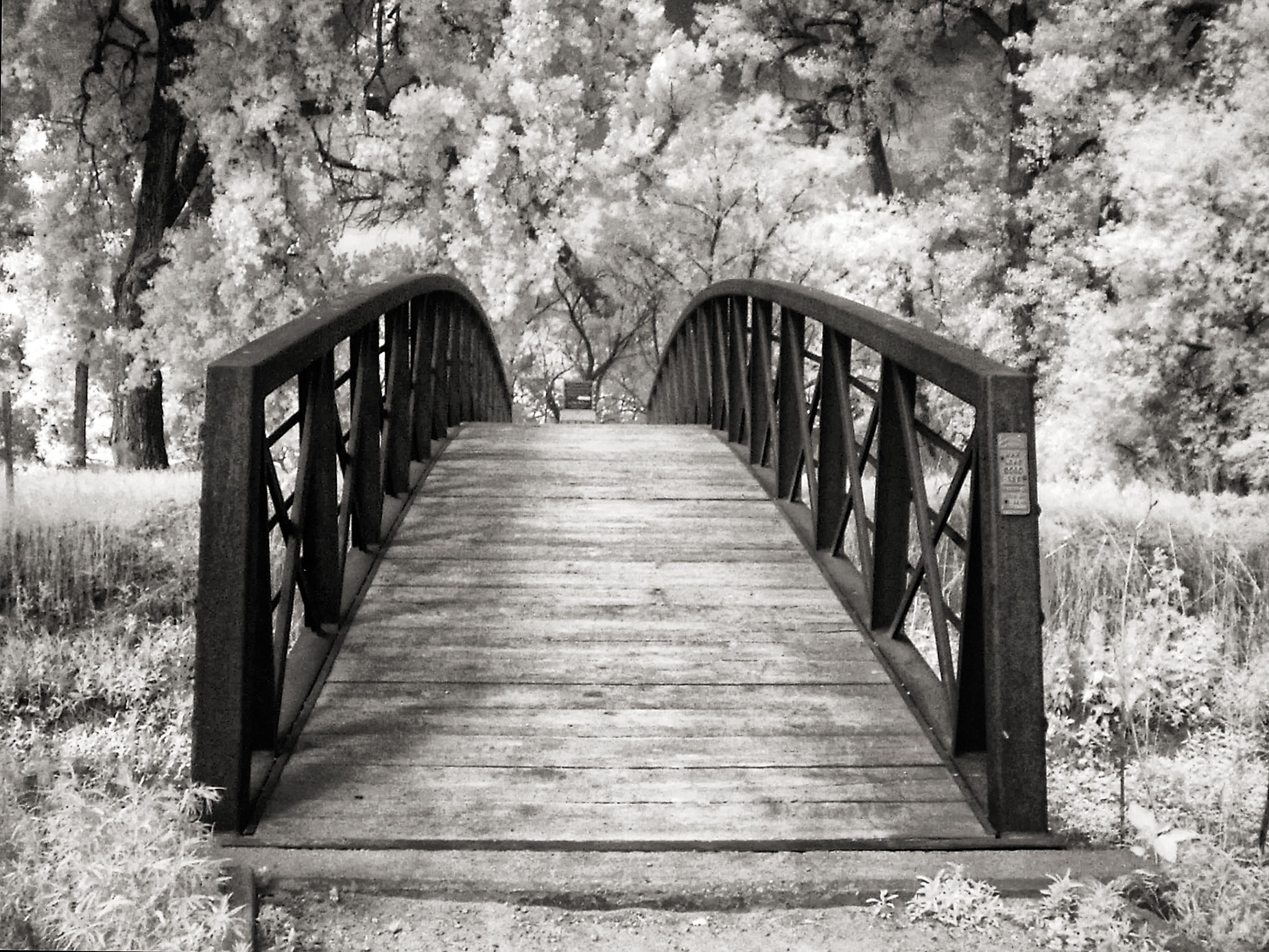 © Joe Farace. Barr Lake Bridge in IR