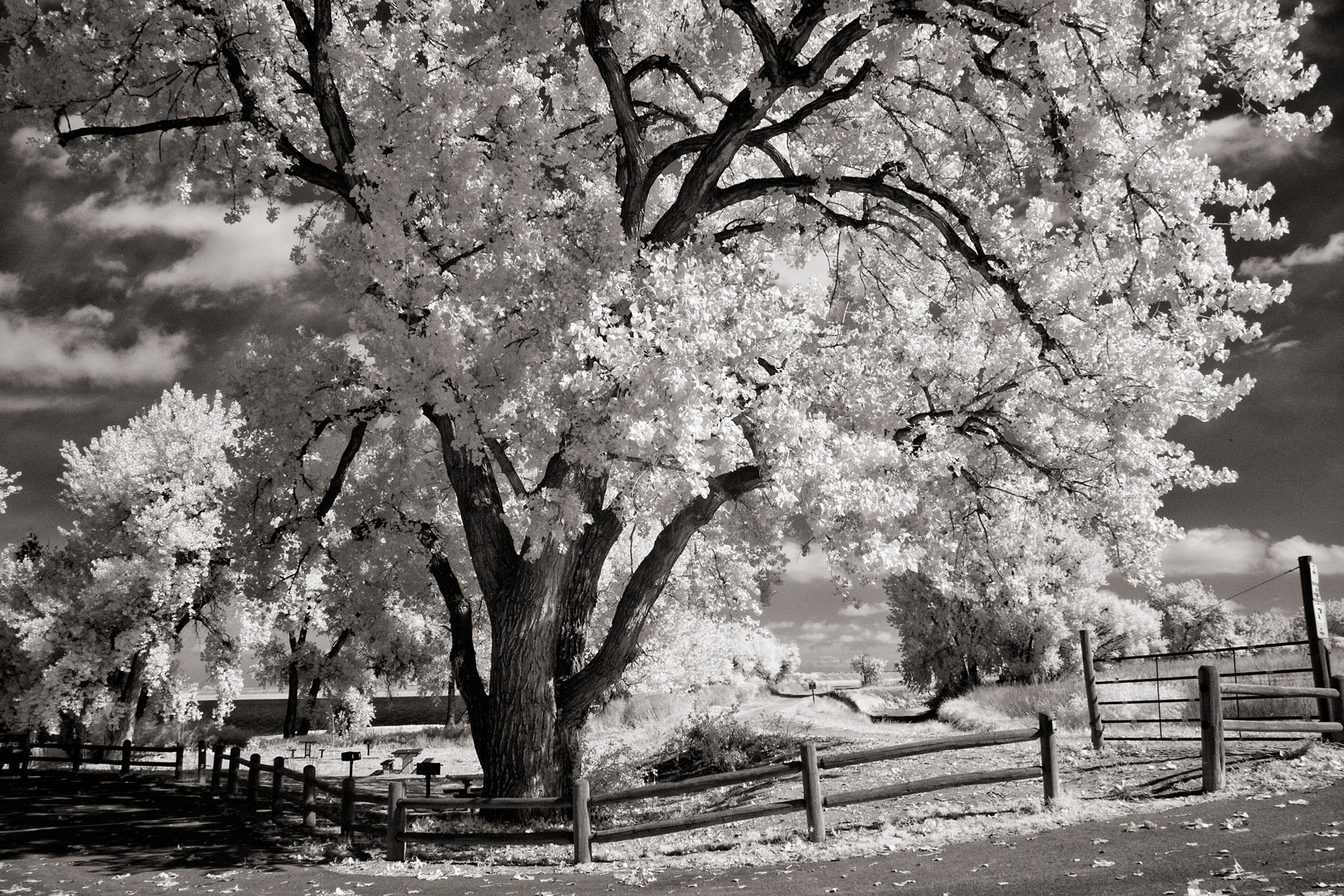 © Joe Farace. Barr Lake in infrared