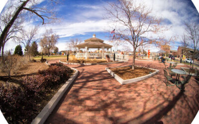 Shooting the Laowa 4mm f/2.8 Fisheye Lens