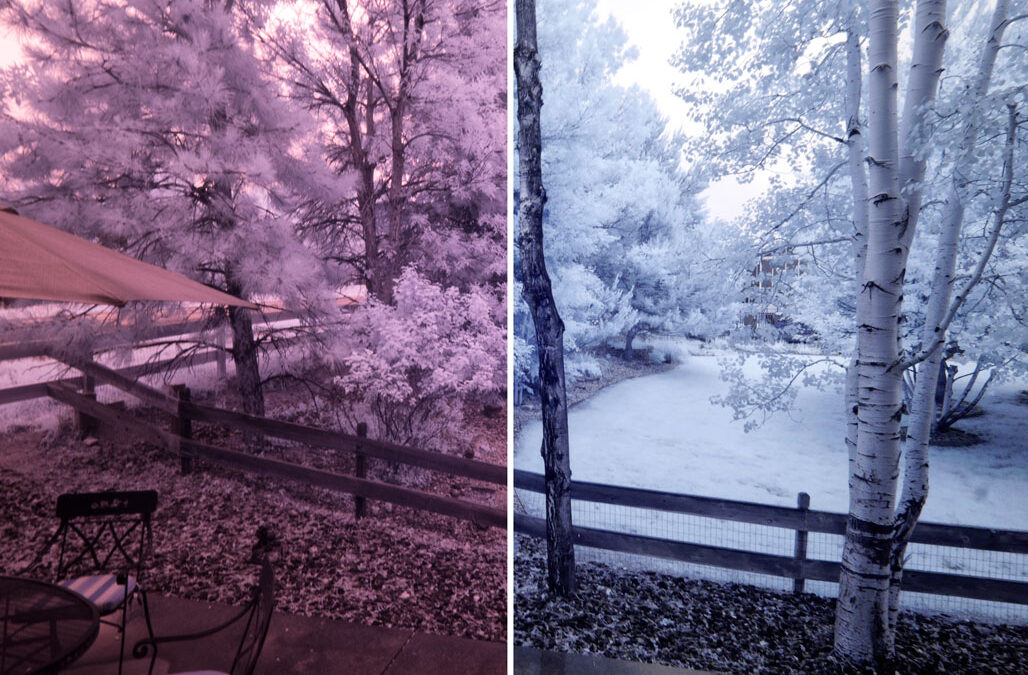 Monochrome Monday: Process or Not Process Infrared Image Files