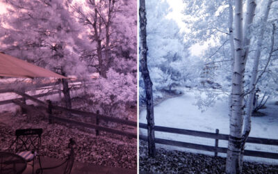 Monochrome Monday: Process or Not Process Infrared Image Files
