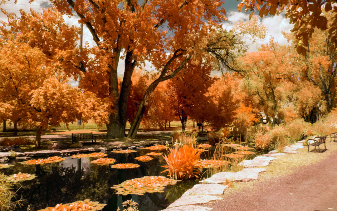 Discovering the Infrared Experience