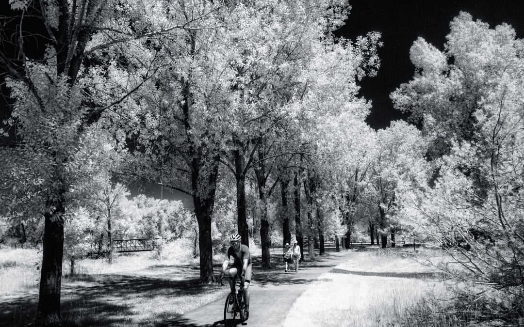 Thursday Vibes: Achieving Black & White Infrared Nirvana, part III