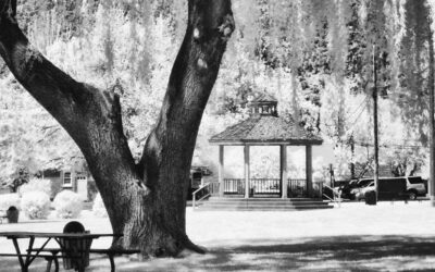 Monochrome Monday: Infrared in Aspen with a Fujifilm IS-1