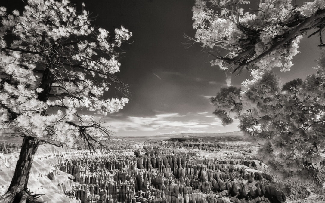 Monochrome Monday: Landscape Photography in Infrared