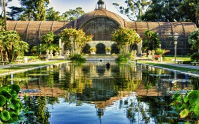 It’s National Walk To A Park Day