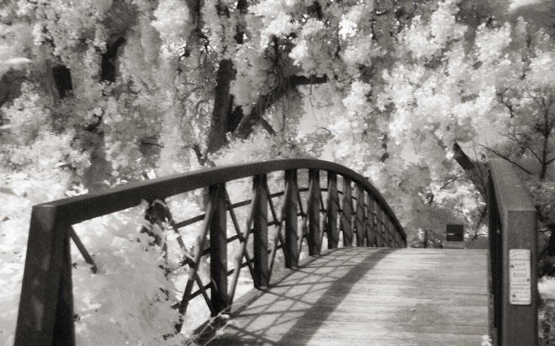 Monochrome Monday: Barr Lake Bridge in IR