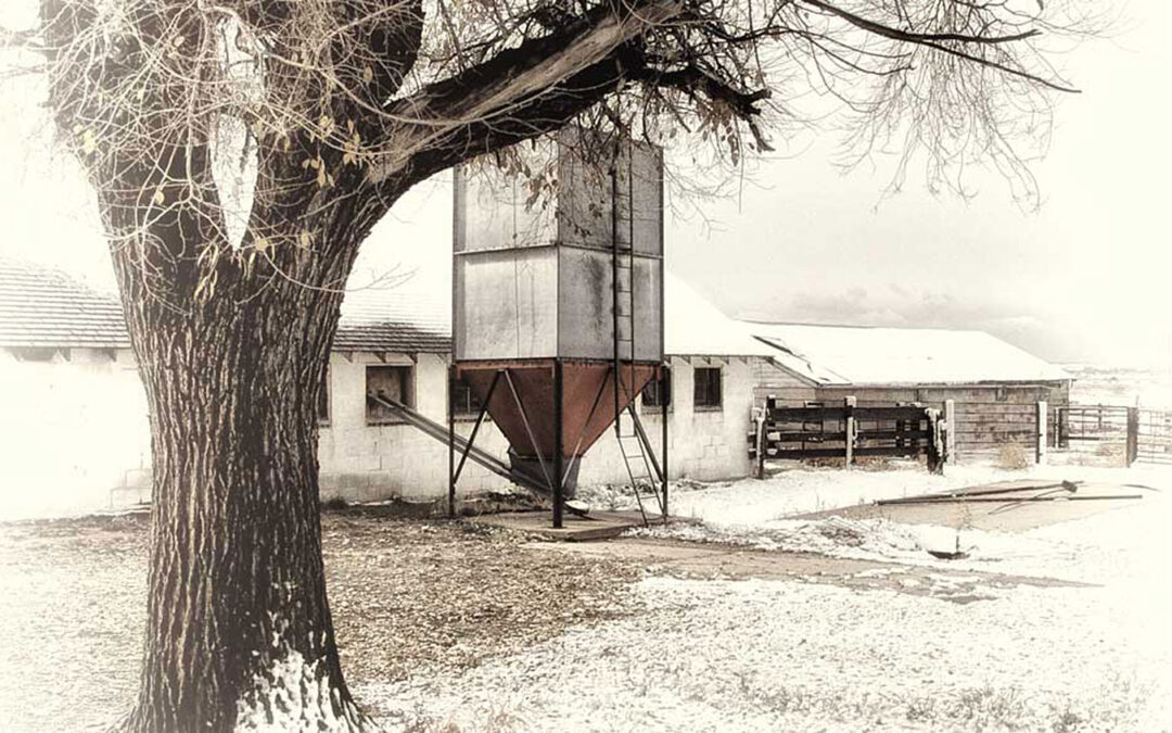 Monochrome Monday: How I Made “Barn In Snow”