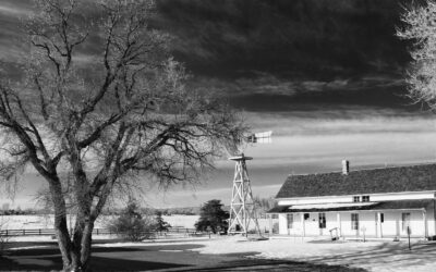 Monochrome Monday: Down on the Farm…