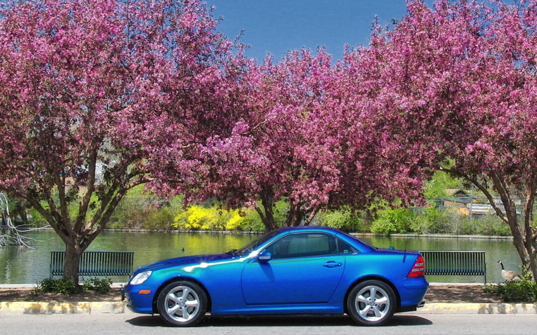 Wheels Wednesday: Photographing Mary’s Blue SLK
