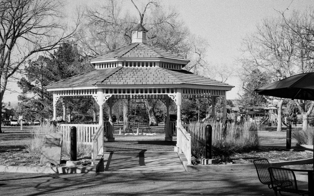 Film Friday: The Canon A-1