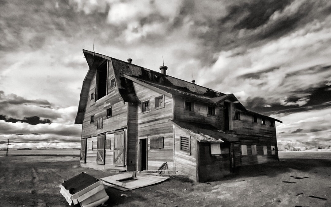 Monochrome Monday: Determine Exposure When Shooting Infrared