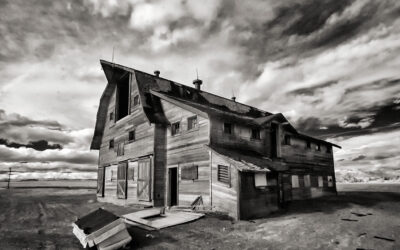 Monochrome Monday: Determine Exposure When Shooting Infrared