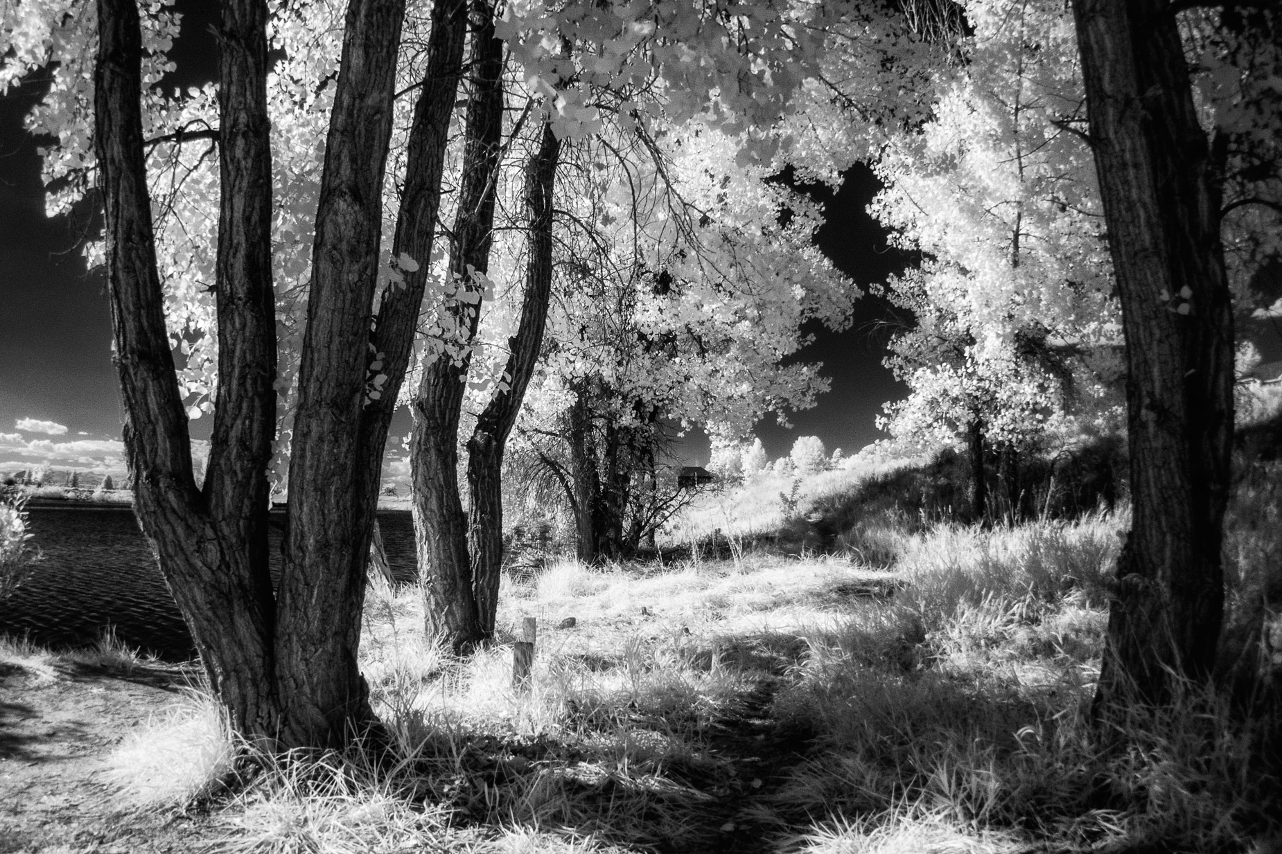 © Joe Farace. Bingham Lake in Infrared