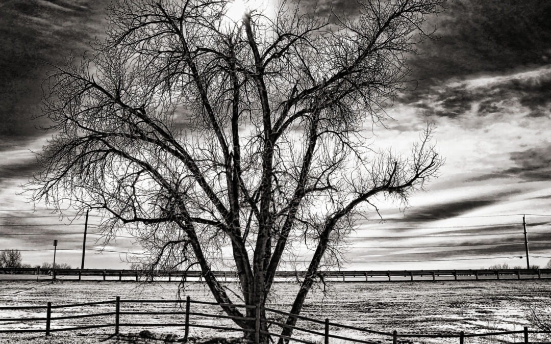 Monochrome Monday: Black and White Shooting Challenges