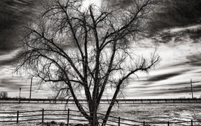Monochrome Monday: Black and White Shooting Challenges