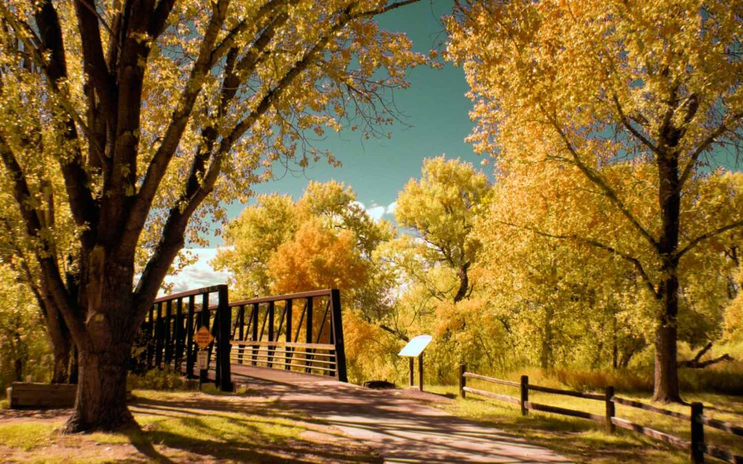 Last Chance Infrared: Revisited