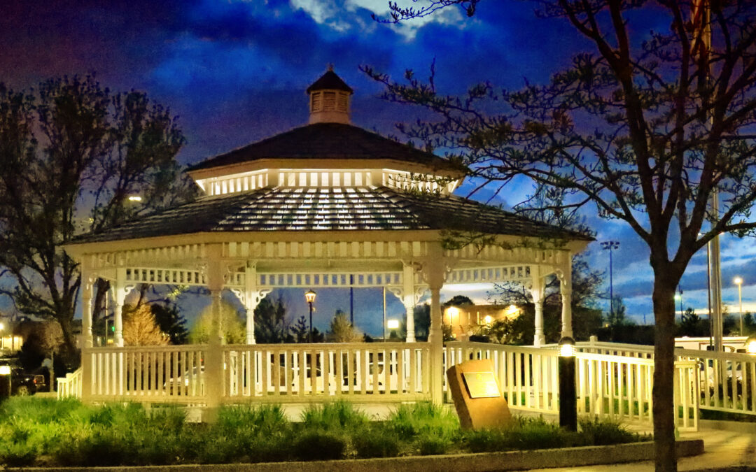 Where Do My Book and Blog Ideas Come From?