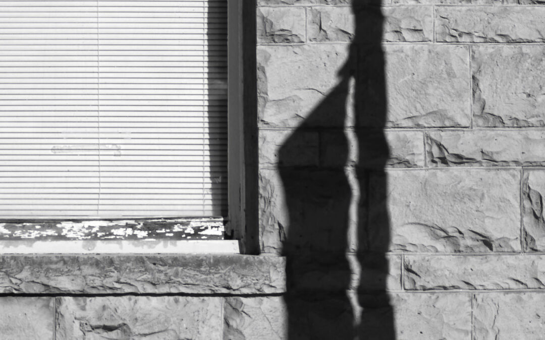 Using Lens Adapters with Mirrorless Cameras