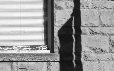 Using Lens Adapters with Mirrorless Cameras