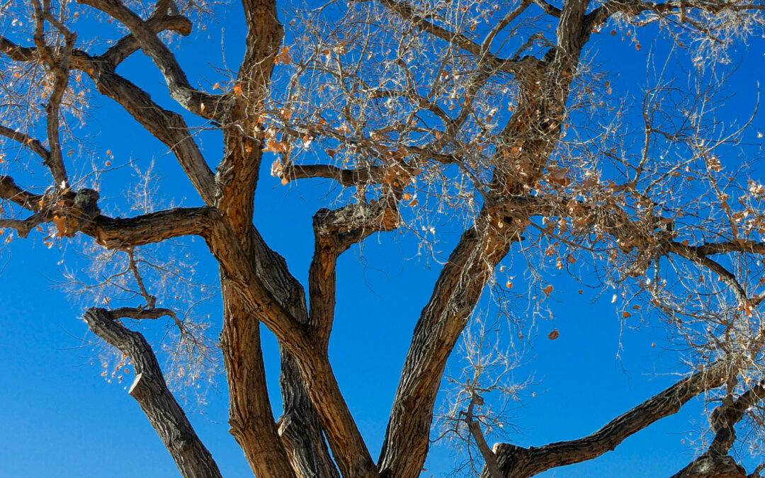 Do You Crop Your Photos? Me, Not so Much…