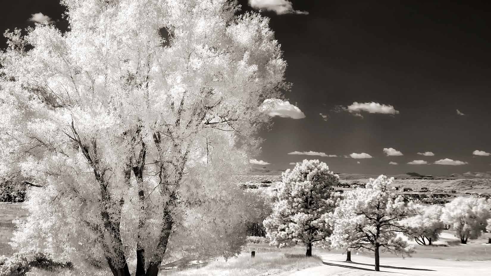 Monochrome Monday: Using Photoshop’s Channel Mixer for Infrared