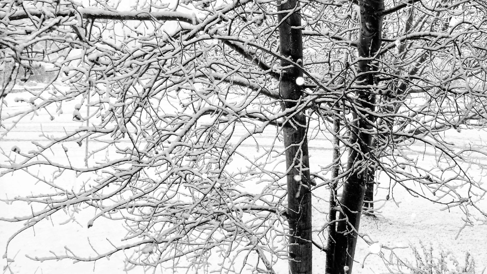 Monochrome Monday: Olympus Stylus Tough 8010 in Black & White