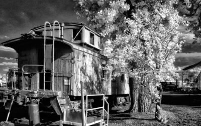 We’re Celebrating St. Joseph’s Day