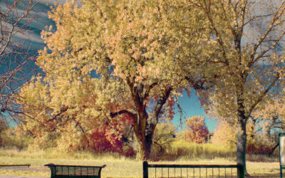 Exploring with Infrared Photography