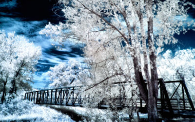 Shooting Infrared with an Enhanced IR Filter