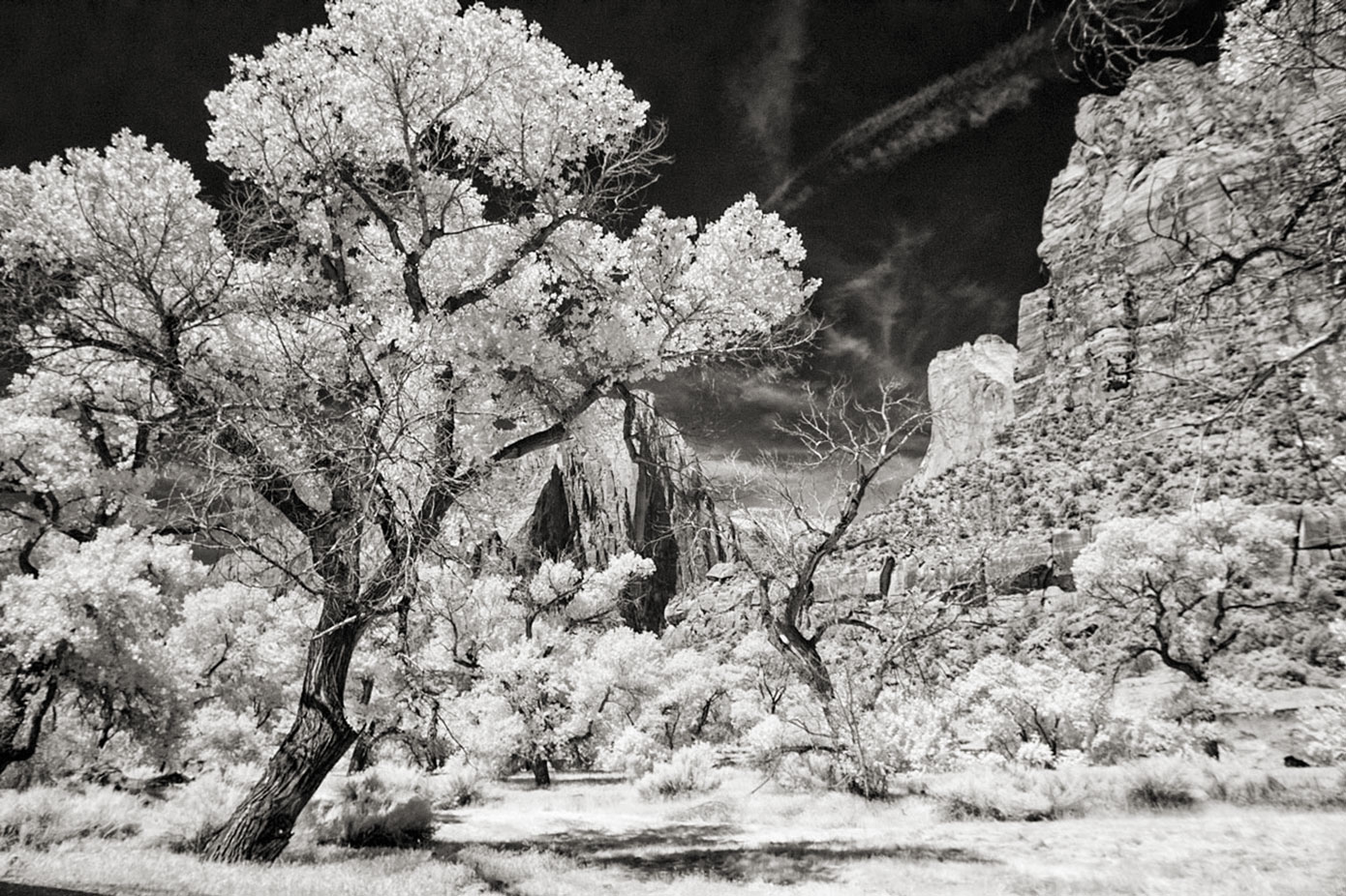 © Joe Farace. Zion National Park in infrared