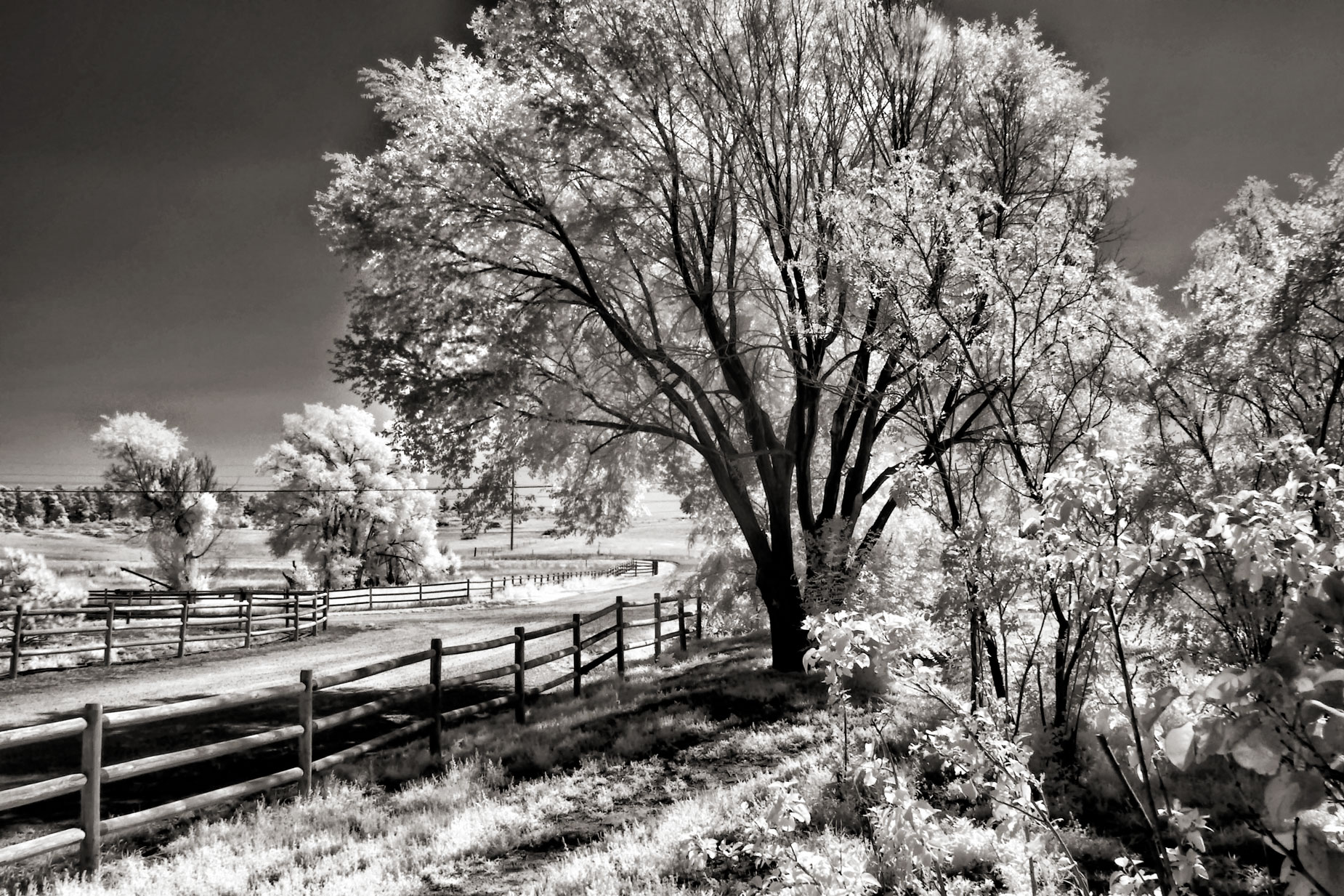 © Joe Farace. Hidden Mesa Open Space in infrared